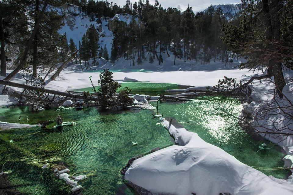 Il Lago Verde in Valle Stretta (Silvano Gallino)